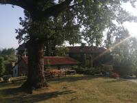 Stojan PJP