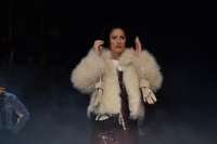 Predpremijera Čehovljevog Galeba