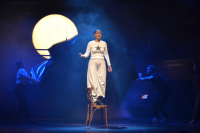 Predpremijera Čehovljevog Galeba