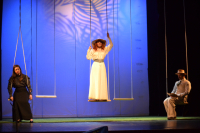 Predpremijera Čehovljevog Galeba