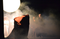 Predpremijera Čehovljevog Galeba