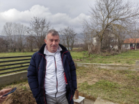 Krst i petokraka