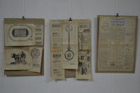 Radoman Irić - 55 godina