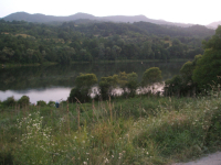 Jovac