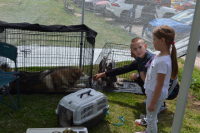 Međunarodna izložba pasa-Vranje