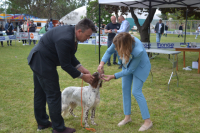 Međunarodna izložba pasa-Vranje