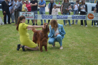 Međunarodna izložba pasa-Vranje