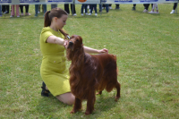 Međunarodna izložba pasa-Vranje