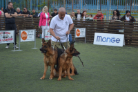 Međunarodna izložba pasa-Vranje