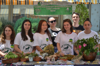 Sajam lekovitog bilja