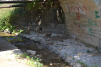 Toplotni talas u Vranju