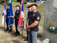 Ulica Nebojše Savića