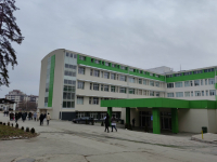 Vantelesna oplodnja