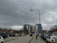 Vantelesna oplodnja