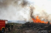 Više požara u Vranju