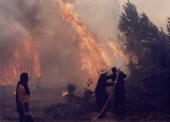 Lokalizovan požar kod Bujanovca