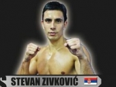 Stevan Živković u profesionalnom meču