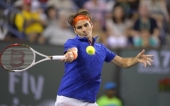 Može li Federer do Gren slema?