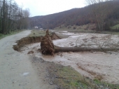VODA ČUPA DRVEĆE: Dva sela ostala bez struje