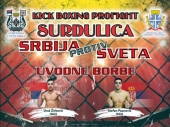 Spektakl: Srbija se tuče protiv SVETA