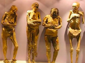Nestale čak 22 mumije iz muzeja: UNESCO alarmiran