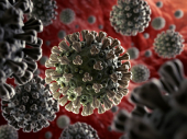 Zvanično preminulo još 12 osoba od koronavirusa u Srbiji, 345 novoobolelih