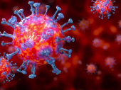 Pronađena slaba tačka koronavirusa