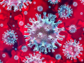 Zdravstveni sistem manje opterećen, preventivne mere spasavaju od koronavirusa