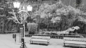 Izložba OBJEKTIVNO VRANJE ZA Dan oslobođenja