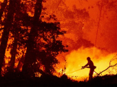 Pola miliona ljudi ugroženo šumskim požarima u Oregonu