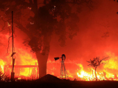 SAD: U požarima život izgubilo najmanje 28 ljudi