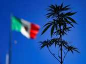 Meksiko sve bliži legalizaciji marihuane