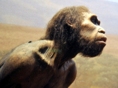 ČOVEK ZMAJ Naučnici pronašli novu vrstu drevnog čoveka, živeo je pre 140 hiljada godina i imao je OGROMNU LOBANJU