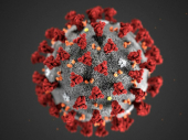 Šta se do sada zna o „najgorem soju“ korona virusa?