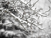 U Srbiji danas moguć sneg i u nižim predelima