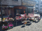 Počela osmomartovska euforija u gradu(Foto)