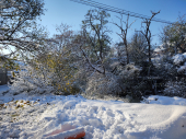 Danas umereno oblačno, sa temperaturom do 11 stepeni