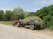 Pronašao pištolje i drogu u plastu sena