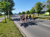 Vranjski maratonci na Beogradskom maratonu