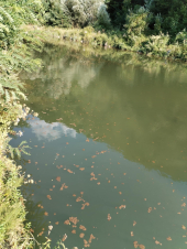 Reka Tripušnica puna fekalija: Slučaj prijavljen tužilaštvu