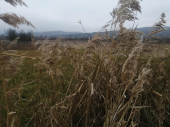 Očekuje se zahlađenje i sneg u narednim danima