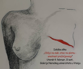 Jedinstvena izložba “Ožiljci na duši, otisci na platnu - umetnost preživljavanja”