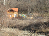 Izgorelo pet košnica sa pčelama kod Bosilegrada