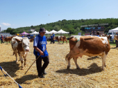 Opasnost od zarazne bolesti preživara na području Trgovišta
