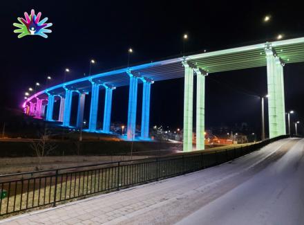 Most Vrla biće osvetljen u zvaničnim bojama Dana retkih bolesti