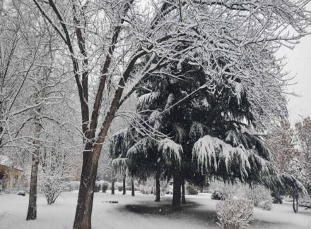 Putevi Srbije upozoravaju na sneg koji će padati večeras i jaku košavu u ostatku nedelje