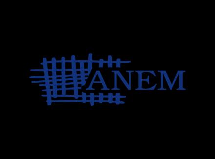  ANEM ALARM: Nedopustivo ometanje u radu, uvrede i pretnje upućene novinarki Dejani Cvetković tokom izveštavanja sa protesta u Surdulici